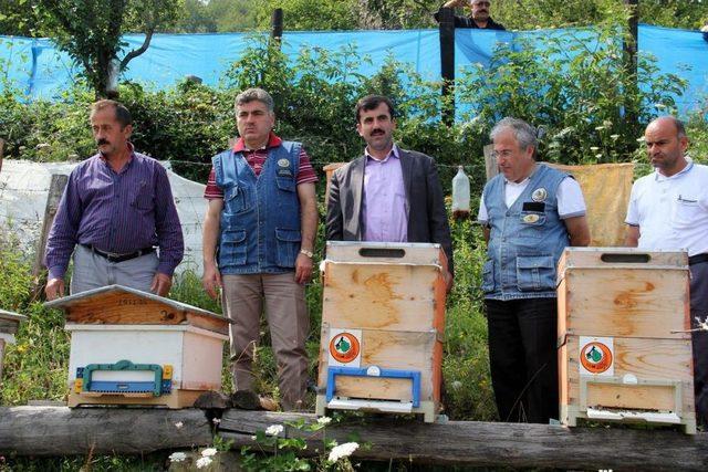 Kastamonu Orman Bölge Müdürü Şahin'den Arıcılara Ziyaret