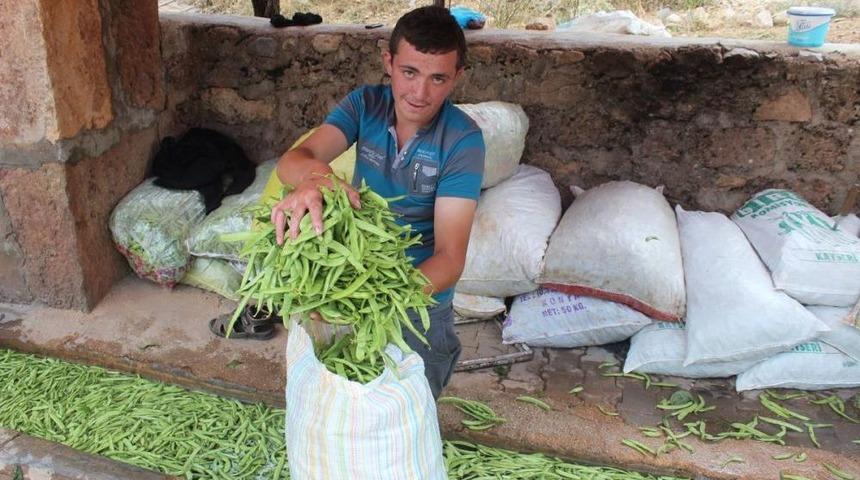 Beyşehir'in Fasulyesi Marka Olacak