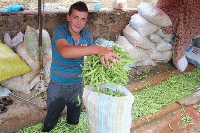 Beyşehir'in Fasulyesi Marka Olacak