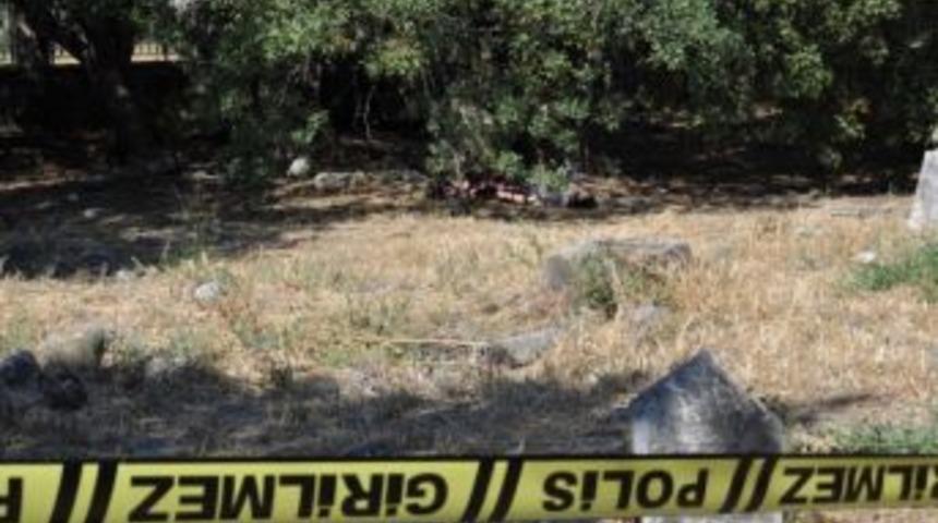 Fo&ccedil;a'da Bir Gen&ccedil; Ağaca Asılı Halde Bulundu