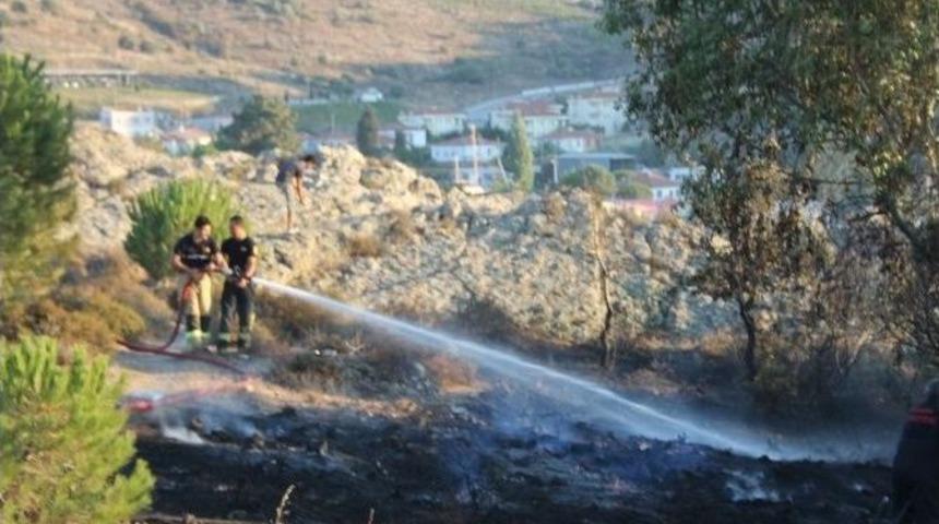 Fo&ccedil;a'yı Korkutan Yangın