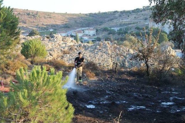 Foça'yı Korkutan Yangın