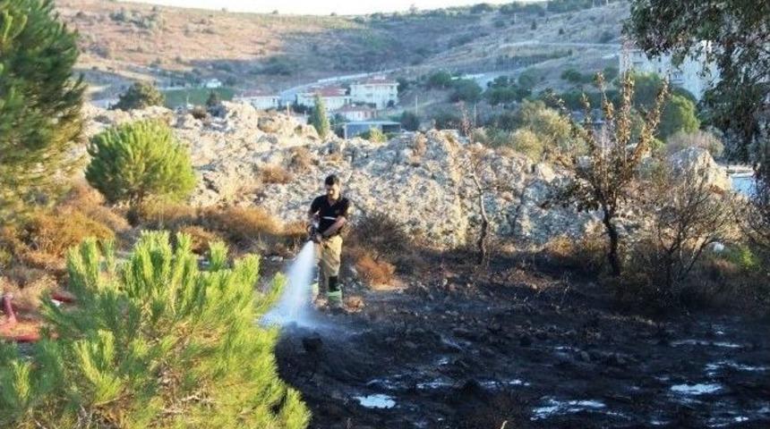 Fo&ccedil;a'da &Ccedil;ıkan Yangın B&uuml;y&uuml;meden S&ouml;nd&uuml;r&uuml;ld&uuml;