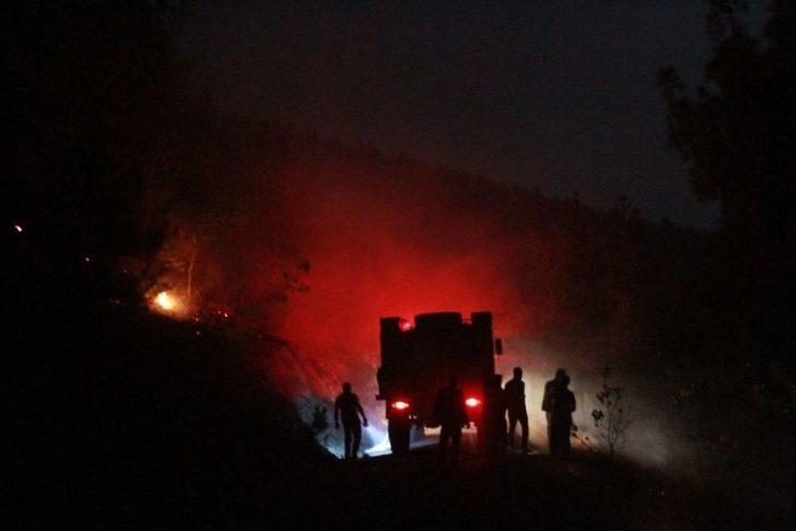 Samsun'daki Orman Yangını