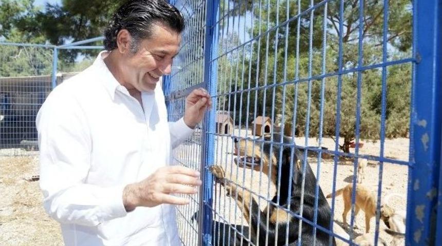 Başkan Kocadon&rsquo;dan Ge&ccedil;ici Hayvan Barınağına Ziyaret