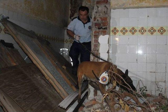 Bonzai İçerken Fotoğraflarını Paylaştı Tutuklandı