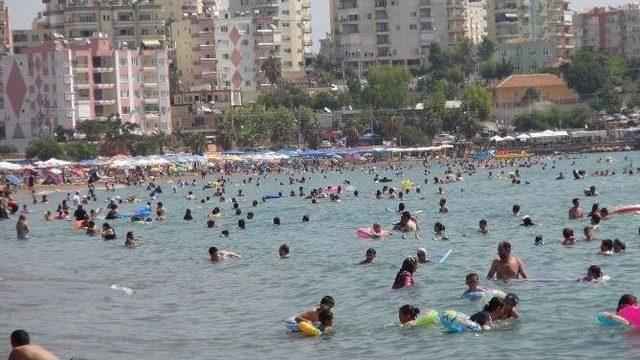 Se&ccedil;imi Değil Denizi Tercih Ettiler 1