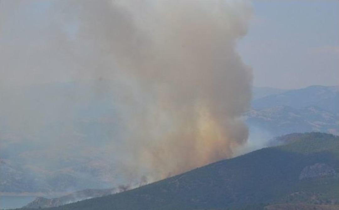 Samsun'da Orman Yangını