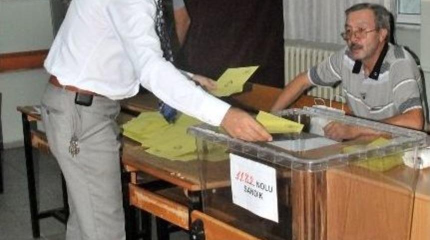 Yalova'da Oyların Sayımına Başlandı