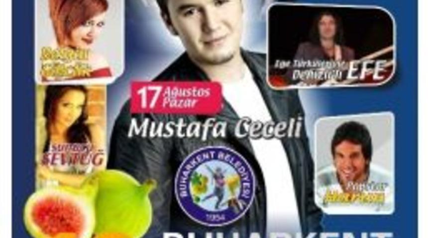 Buharkent, Taze İncir Festivaline Hazır