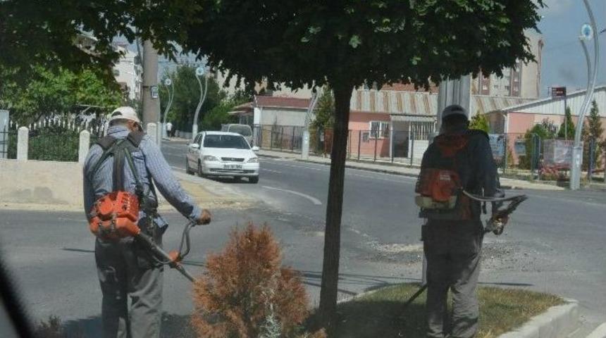 Kapaklı'da Peyzaj &Ccedil;alışmaları