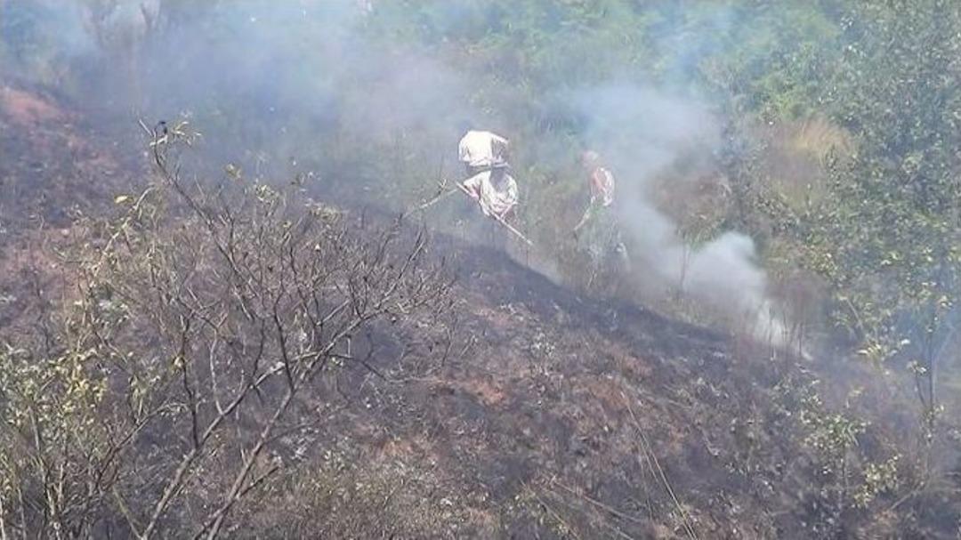 Yangın Ormana Sı&ccedil;ramadan S&ouml;nd&uuml;r&uuml;ld&uuml;