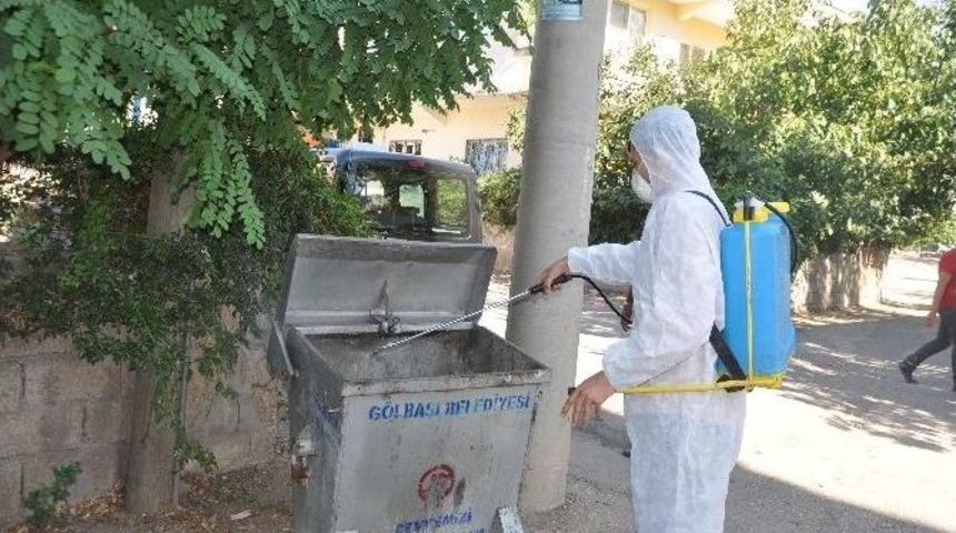 G&ouml;lbaşı Belediyesi, Karasineklere Karşı İla&ccedil;lama &Ccedil;alışması Yapıyor