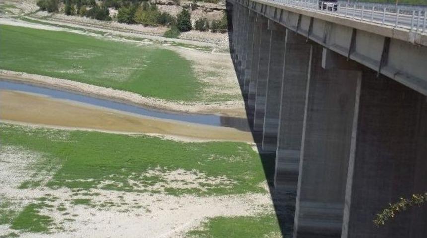 Tohma Yatağı Ekim Alanı Oldu