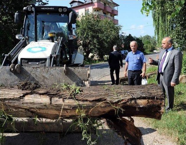 Altınordu Temizlikte Hız Kesmiyor