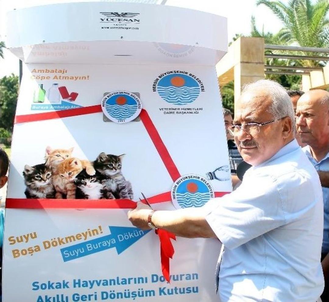 Mersin'de Sokak Hayvanları Artık A&ccedil; Ve Susuz Kalmayacak
