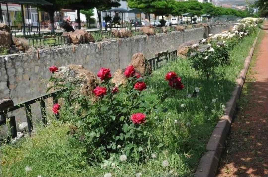 Parklar Her Zaman Yemyeşil Ve Bakımlı Kalsın Diye &Ccedil;alışıyorlar