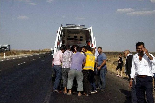 Siverek’te Trafik Kazası: 4 Yaralı