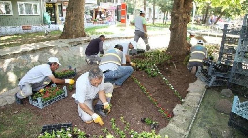 Odunpazarı Renkleniyor