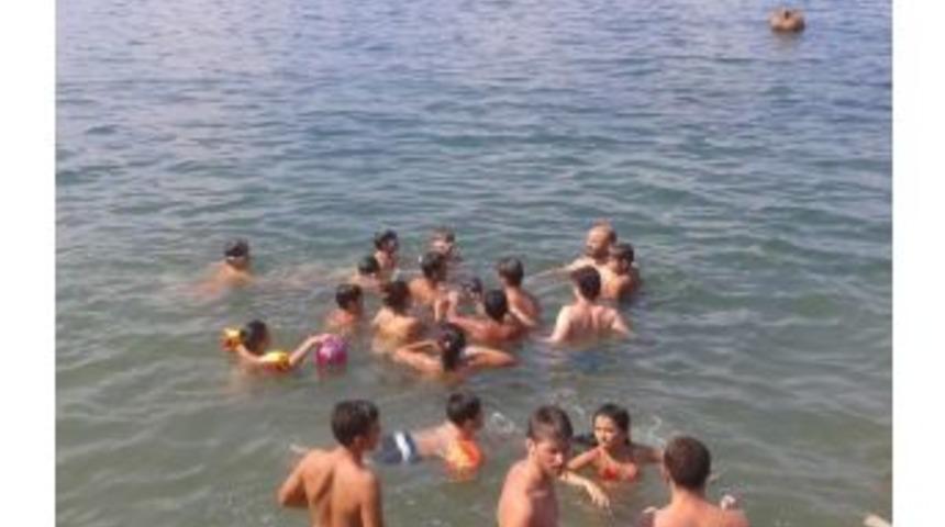 Yavru Yunus Balığı Plaja Daldı