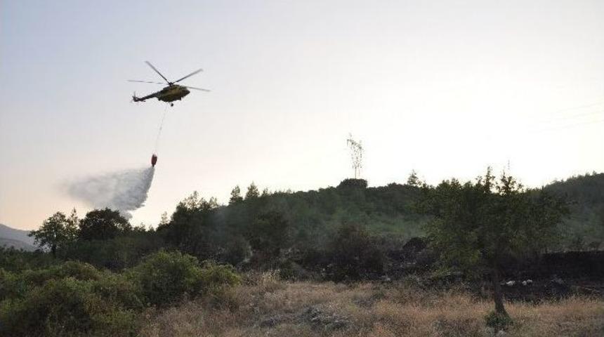 Yatağan'da Orman Yangını