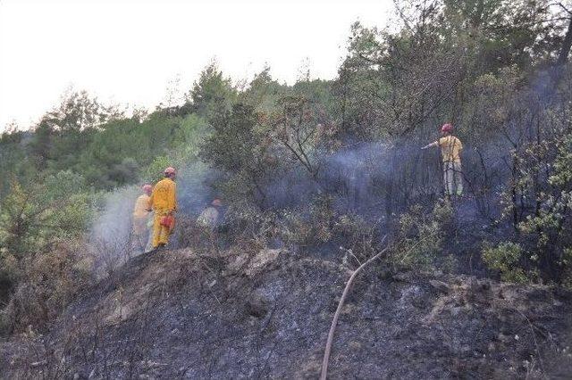 Yatağan'da Orman Yangını