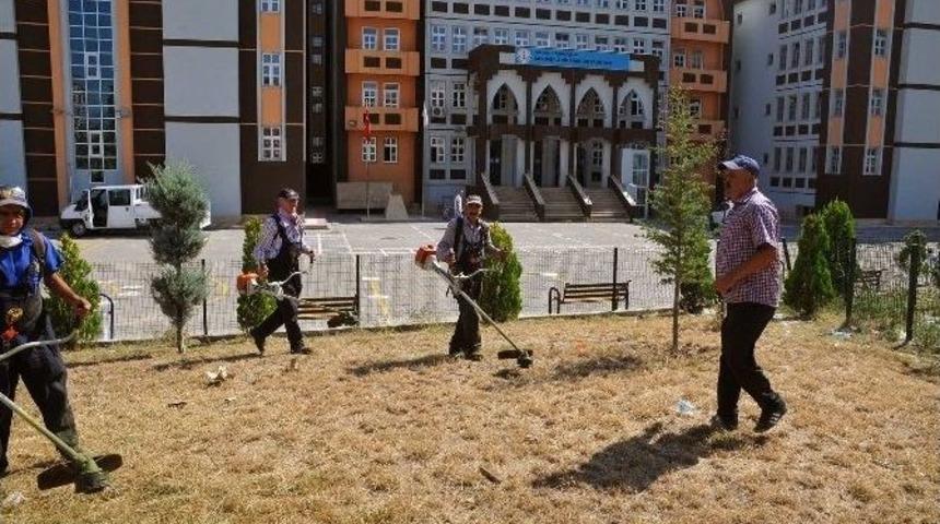 Yenimahalle’de Yabani Ot Operasyonu