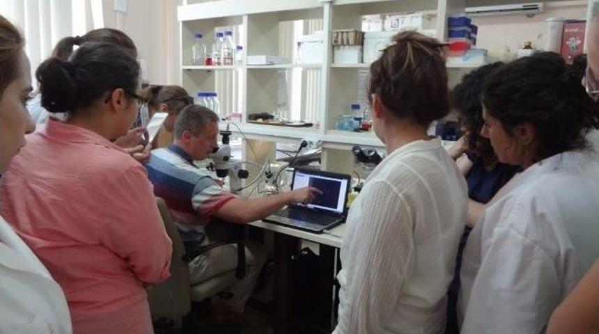 Nk&uuml;&rsquo;de '1. Florasan İn Sit&uuml; Hibridizasyonu Tekiniği Ve Bitkilerde Kullanım Alanları' Eğitimi D&uuml;zenlendi