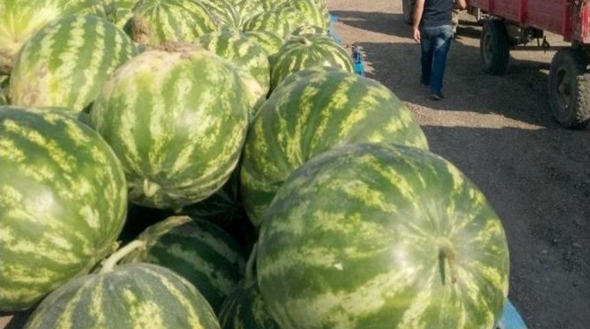 Başken'tin Kavun Ve Karpuzu Pazara &Ccedil;ıktı