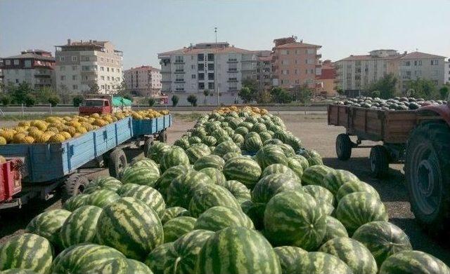 Başken'tin Kavun Ve Karpuzu Pazara Çıktı