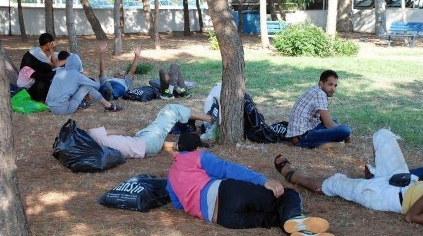 Didim&rsquo;de 78 Suriyeli Ka&ccedil;ak Yakalandı