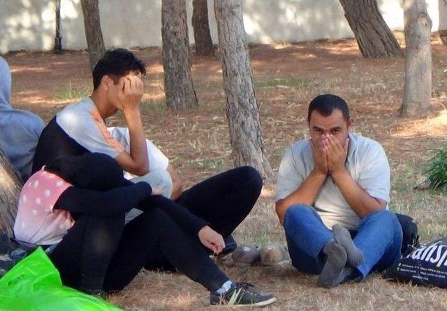 Didim’de 78 Suriyeli Kaçak Yakalandı