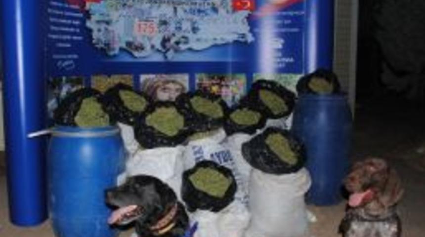 Jandarmadan Uyuşturucu Tacirlerine Darbe