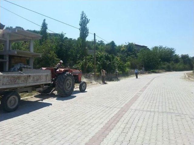 Honaz’da Yabani Otlar Temizleniyor