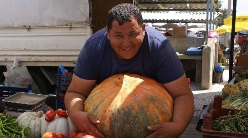 Kabağa Da, Satıcısına Da Maşallah