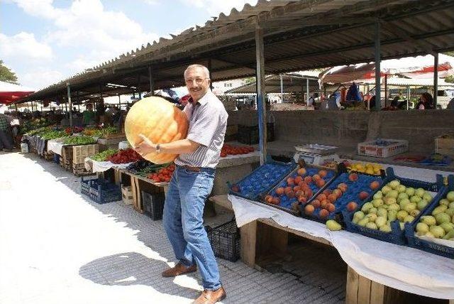 Kabağa Da, Satıcısına Da Maşallah