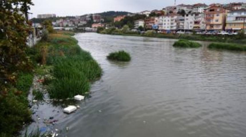 Alaplı &Ccedil;ayı'nın Islah Edilmesi