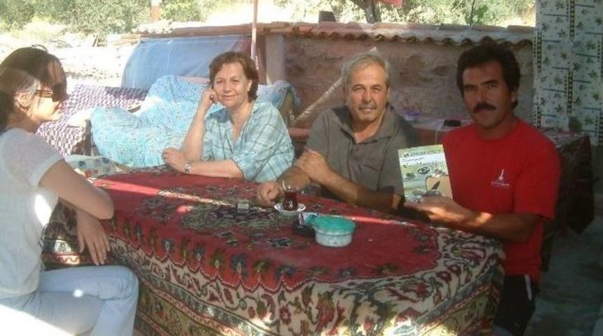 M&uuml;şterilere Zeytinyağlı Yemekler Kitabı