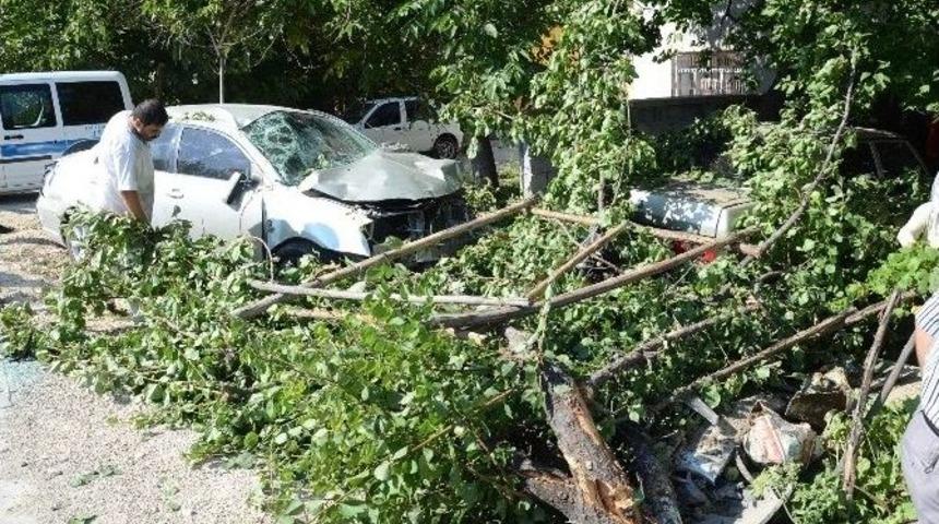 Otomobil Ağaca &Ccedil;arptı: 4 Yaralı