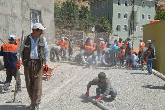 Şırnak Belediyesi 300 Kişilik Kadro İle &Ccedil;alışma Başlattı 2