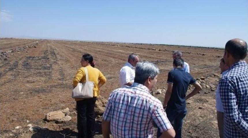 Viranşehir Belediyesi Ezidiler İ&ccedil;in &Ccedil;adır Kuruyor