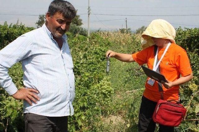 Manisa’da Fırtına Ve Dolu Zararları Tesbit Ediliyor