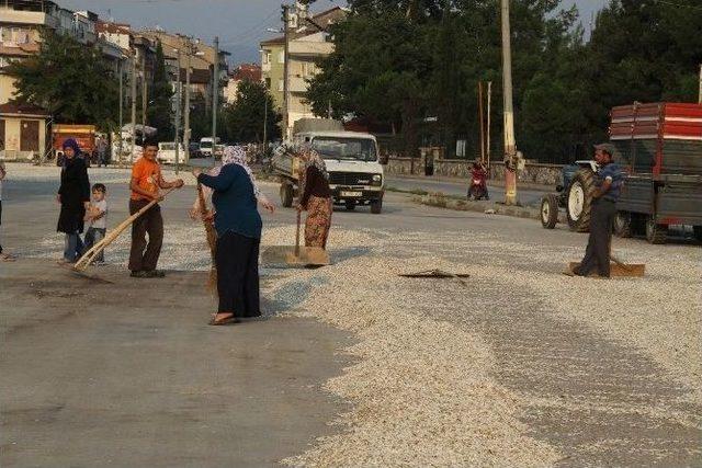 Çevre Yolunda Ayçekirdeği Kurutulmasına İzin Yok