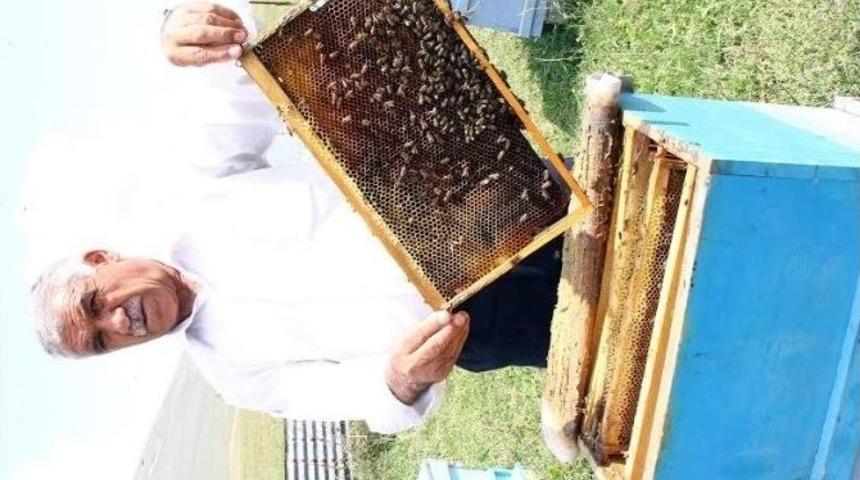 Bal &Uuml;retiminde Verim D&uuml;şt&uuml;