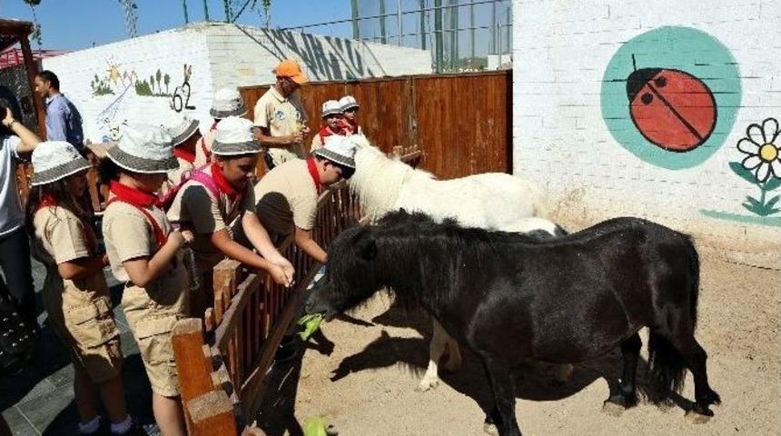 Hayvanat Bah&ccedil;esi&rsquo;nin G&ouml;n&uuml;ll&uuml;ler Ordusu