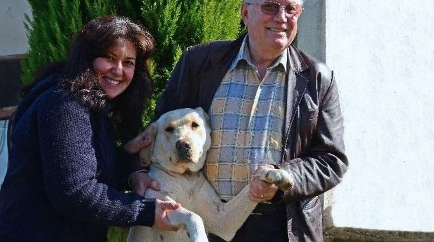 Hayvanlara İşkenceye Terbiye Edici Ceza İsteği