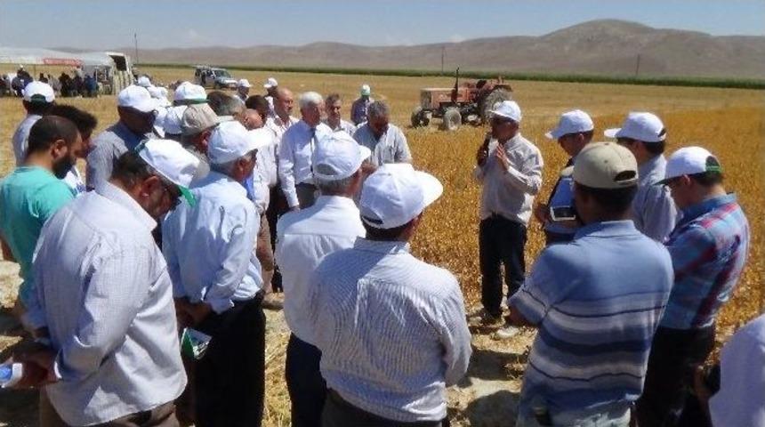 Karaman&rsquo;da &ldquo;aspir Tarla G&uuml;n&uuml; &ldquo; D&uuml;zenlendi