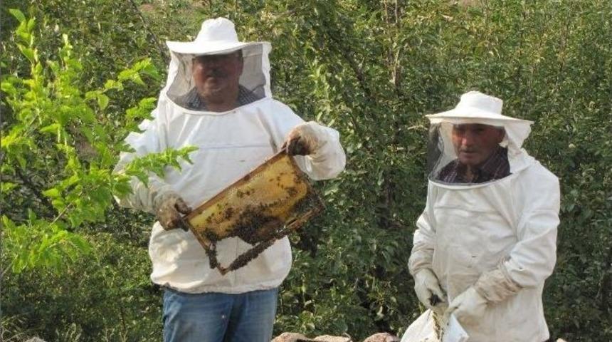Karbasan, Gezginci Arıcıların G&ouml;zdesi
