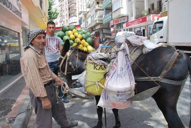 Yakup Dede, Karakacanı Sayesinde Hem Para Kazanıyor Hem Spor Yapıyor