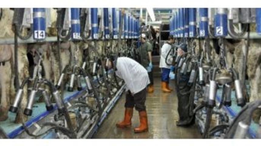 S&uuml;t &Uuml;r&uuml;nlerinde &Uuml;retim Arttı